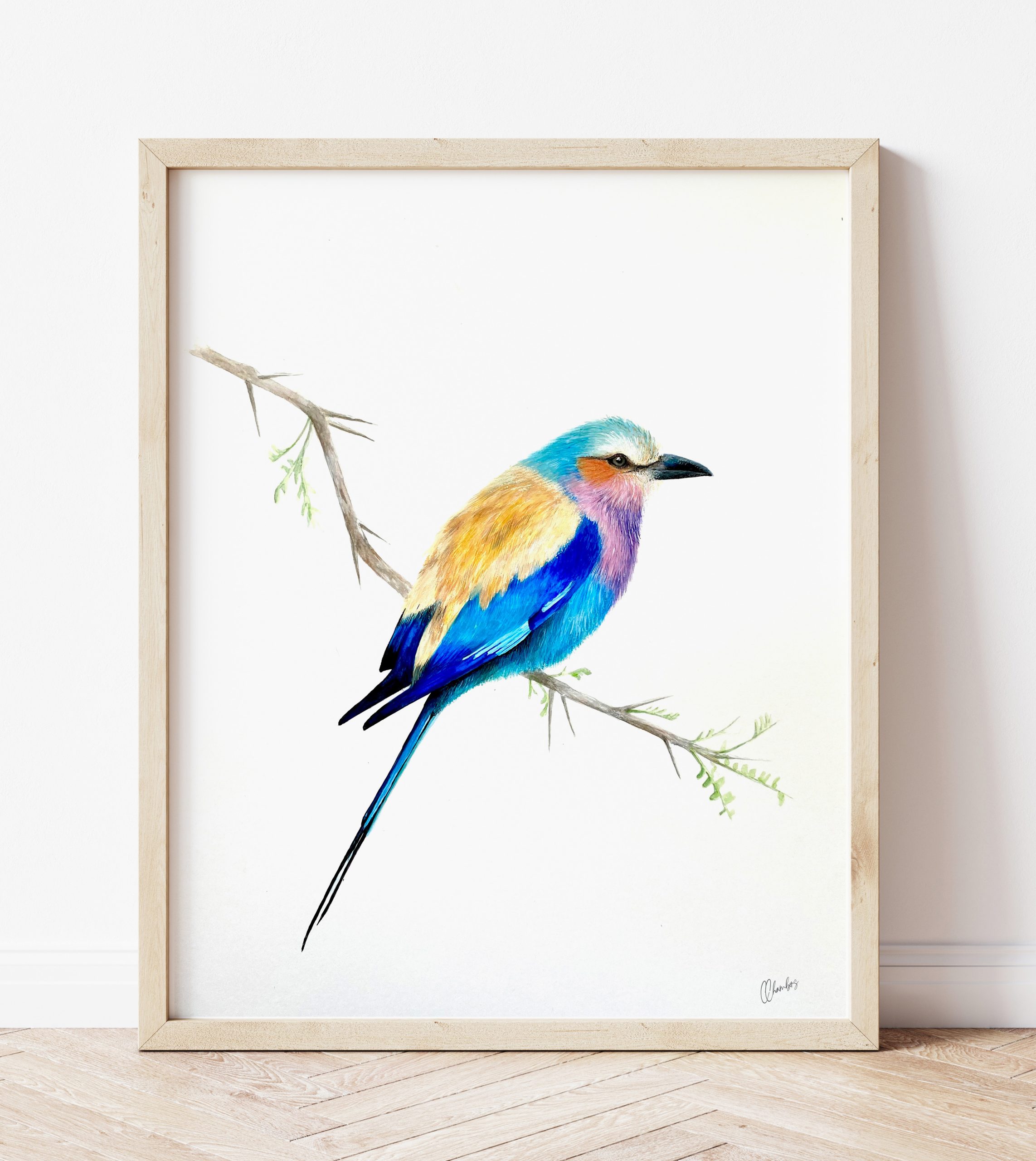Lilac-Breasted Roller