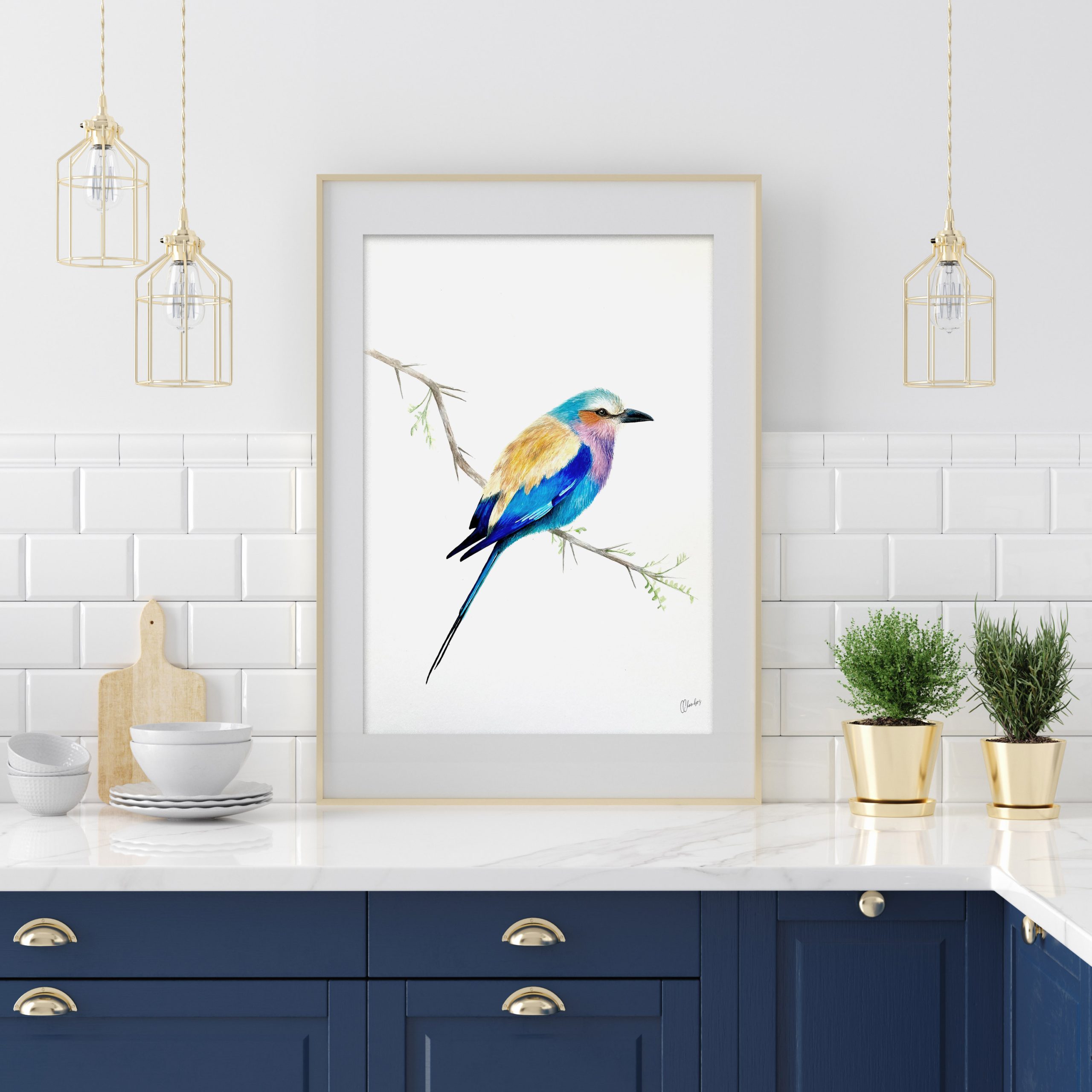 Lilac-Breasted Roller - Image 3